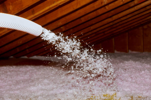 Best Residential Insulation in Azle, TX